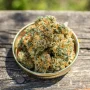 Семена конопли Banana Blaze® от Dutch Passion